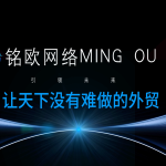 2025年专业福建外贸建站服务商 - 定制设计高端SEO优化营销型网站建设 - 询盘转化专家