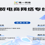 2025年外贸建站的企业首选！专业团队助您月增询盘300%