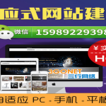 2025外贸建站CMS排行榜：5大系统实测对比揭秘