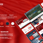 河北外贸建站-专业SEO优化-高转化营销型网站设计制作服务商
