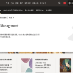 外贸建站厦门首选｜响应式+SEO｜助力海外获客