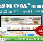 成都外贸建站公司排名TOP3，询盘转化率提升300%