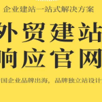 外贸独立站建设全攻略：快速提升海外订单转化率