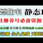 揭秘：有哪些海外服务器让跨境电商老板都在用？