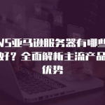 2025年境外云服务器推荐：5大热门品牌性价比对比指南