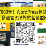 速度提升300%！CDN加速海外独立站服务器WordPress优化
