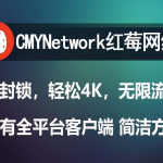 海外轻量云服务器评测：月付9.9元起的顶级选择